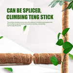 ELT, Moss Pole, Plant Support Sticks, Coco Coir Poles, Plant Support Extension, For Climbing Plants in Gardens and Indoors