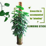 ELT, Moss Pole, Plant Support Sticks, Coco Coir Poles, Plant Support Extension, For Climbing Plants in Gardens and Indoors